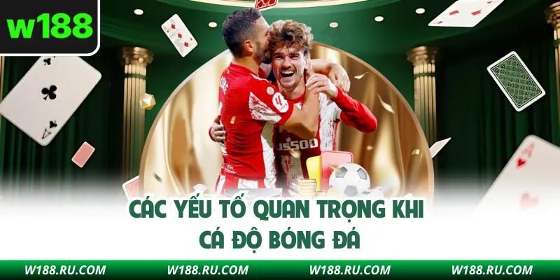 Các yếu tố quan trọng khi cá độ bóng đá