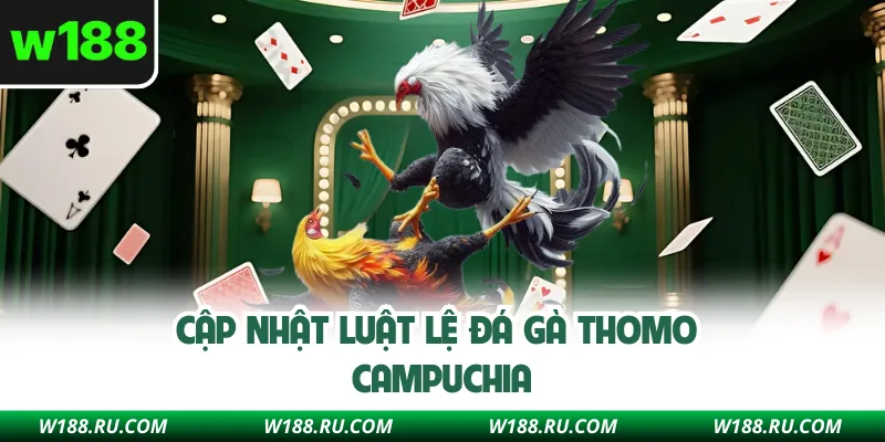 Cập nhật luật lệ đá gà Thomo Campuchia