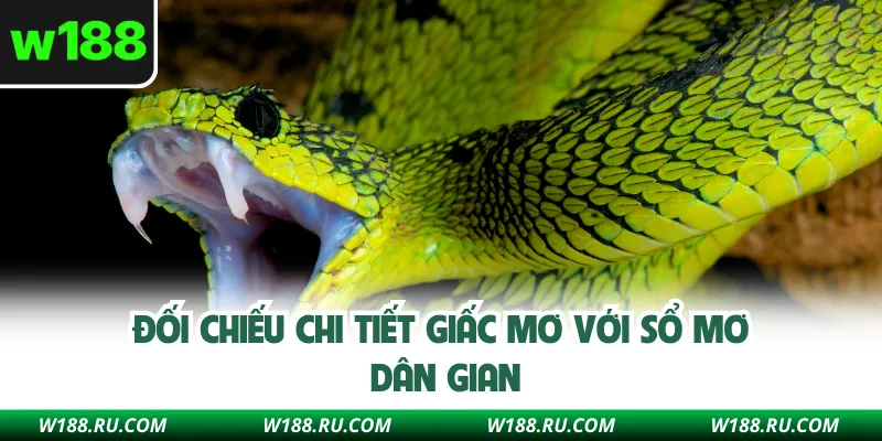 Đối chiếu chi tiết giấc mơ với sổ mơ dân gian