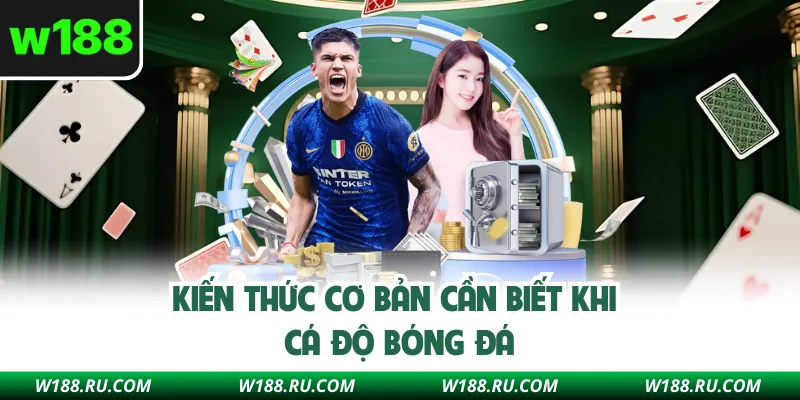 Kiến thức cơ bản cần biết khi cá độ bóng đá