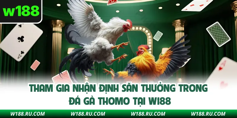 Tham gia nhận định đá gà Thomo Campuchia