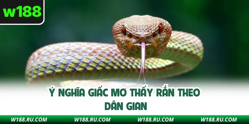 Ý nghĩa giấc mơ thấy rắn theo dân gian